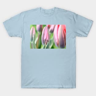 Tulipa &#39;Pretty Princess&#39; Triumph Group Tulip T-Shirt